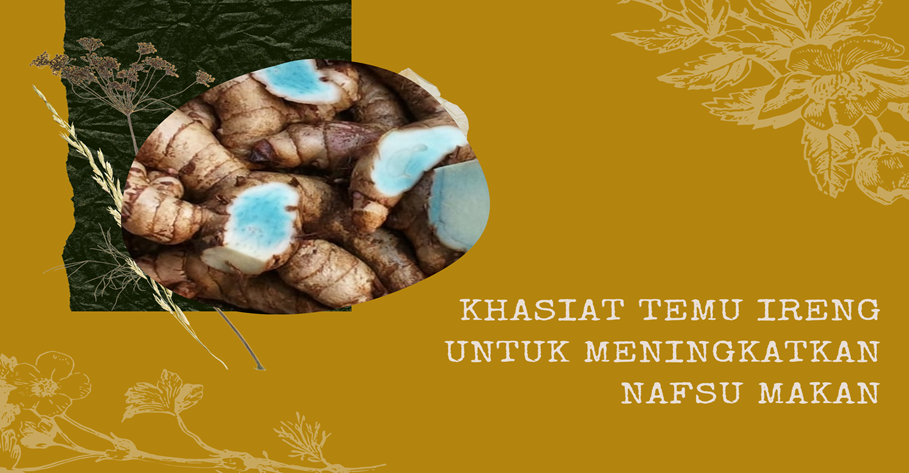 Khasiat Temu Ireng untuk Meningkatkan Nafsu Makan
